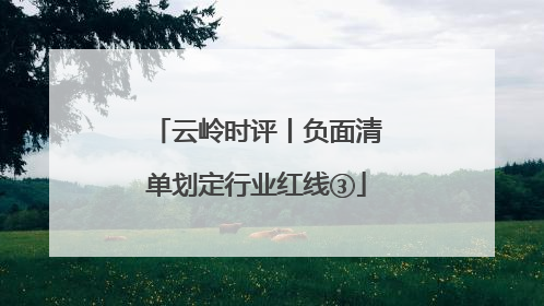云岭时评丨负面清单划定行业红线③