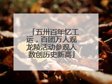 五卅百年忆工运，百团万人观龙陵活动参观人数创历史新高