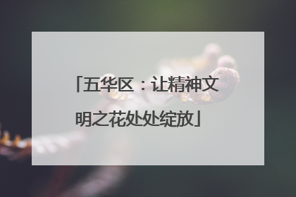 五华区：让精神文明之花处处绽放