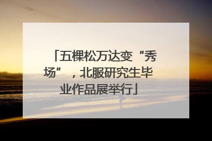 五棵松万达变“秀场”，北服研究生毕业作品展举行
