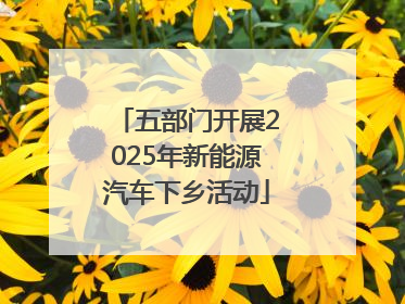 五部门开展2025年新能源汽车下乡活动