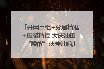 井网重组+分层精准+压裂精控 大庆油田“唤醒”薄差油藏