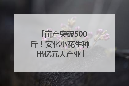 亩产突破500斤！安化小花生种出亿元大产业