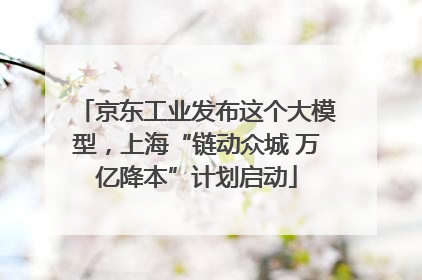 京东工业发布这个大模型，上海“链动众城 万亿降本”计划启动