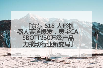 京东 618 人形机器人赛道爆发：灵宝CASBOT以30万级产品力搅动行业新变局