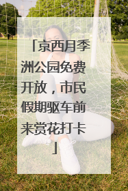 京西月季洲公园免费开放，市民假期驱车前来赏花打卡