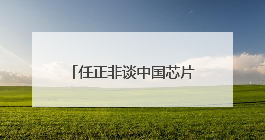 任正非谈中国芯片，外媒争相解读