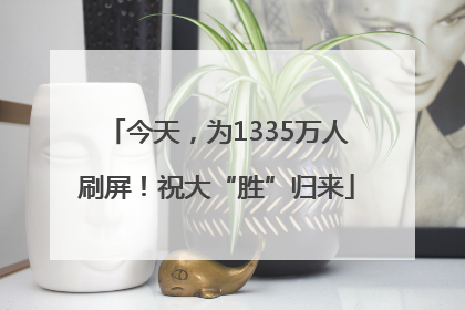 今天，为1335万人刷屏！祝大“胜”归来