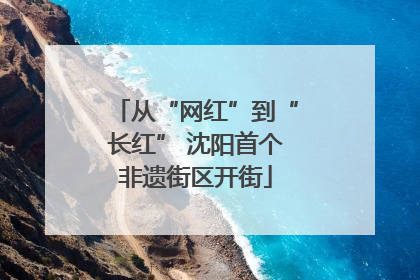 从“网红”到“长红” 沈阳首个非遗街区开街
