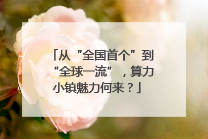 从“全国首个”到“全球一流”，算力小镇魅力何来？