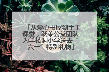 从爱心书屋到手工课堂，跃莱公益团队为羊楼洞小学送去“六一”特别礼物