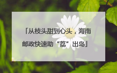 从枝头甜到心头，海南邮政快速助“荔”出岛