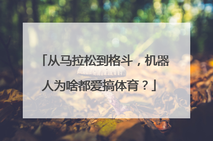 从马拉松到格斗，机器人为啥都爱搞体育？