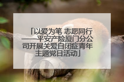 以爱为笔 志愿同行——平安产险厦门分公司开展关爱自闭症青年主题党日活动