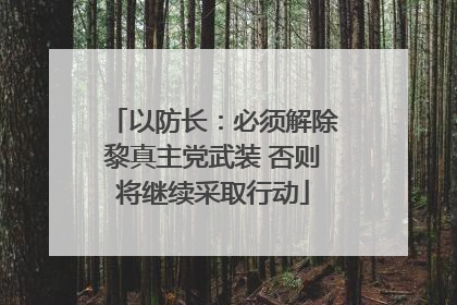 以防长：必须解除黎真主党武装 否则将继续采取行动