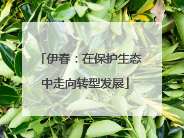 伊春：在保护生态中走向转型发展