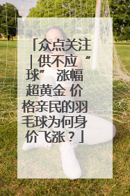 众点关注｜供不应“球” 涨幅超黄金 价格亲民的羽毛球为何身价飞涨？