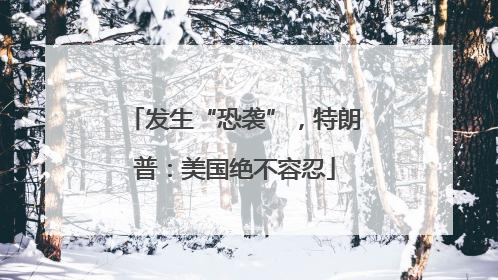 发生“恐袭”，特朗普：美国绝不容忍