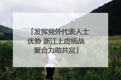 发挥党外代表人士优势 浙江上虞统战聚合力助共富