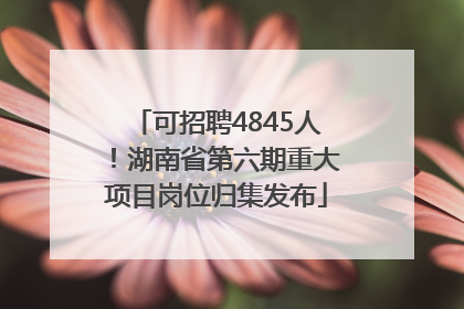 可招聘4845人！湖南省第六期重大项目岗位归集发布