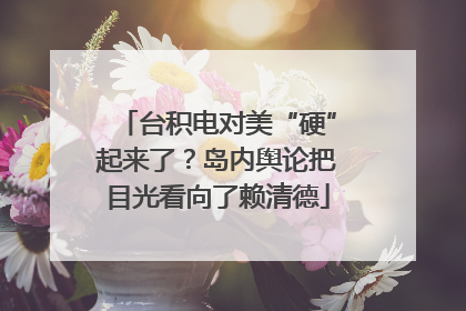 台积电对美“硬”起来了？岛内舆论把目光看向了赖清德