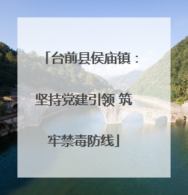 台前县侯庙镇：坚持党建引领 筑牢禁毒防线