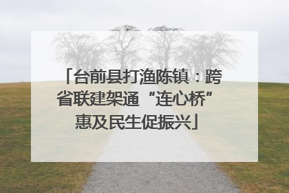 台前县打渔陈镇：跨省联建架通“连心桥” 惠及民生促振兴