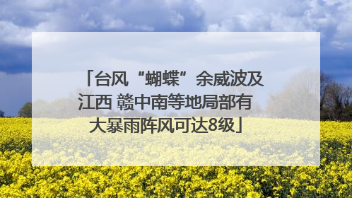 台风“蝴蝶”余威波及江西 赣中南等地局部有大暴雨阵风可达8级