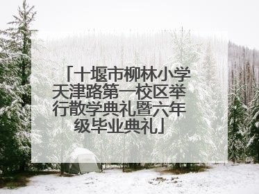 十堰市柳林小学天津路第一校区举行散学典礼暨六年级毕业典礼