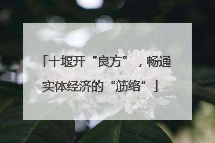 十堰开“良方”，畅通实体经济的“筋络”