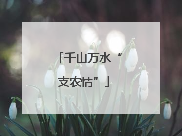 千山万水“支农情”