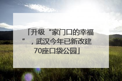 升级“家门口的幸福”，武汉今年已新改建70座口袋公园