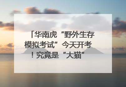 华南虎“野外生存模拟考试”今天开考！究竟是“大猫” 还是顶级猎食者？