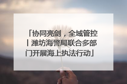 协同亮剑，全域管控丨潍坊海警局联合多部门开展海上执法行动