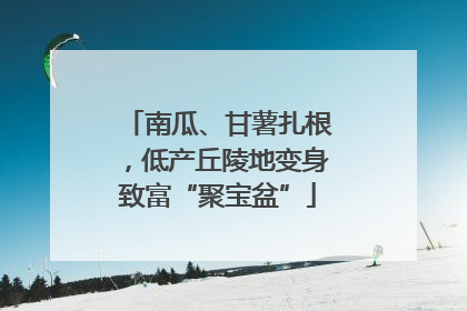 南瓜、甘薯扎根，低产丘陵地变身致富“聚宝盆”
