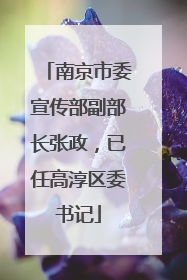 南京市委宣传部副部长张政，已任高淳区委书记