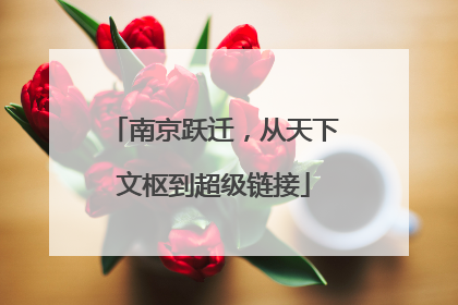 南京跃迁，从天下文枢到超级链接