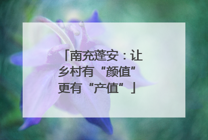南充蓬安：让乡村有“颜值”更有“产值”