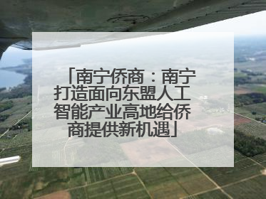南宁侨商：南宁打造面向东盟人工智能产业高地给侨商提供新机遇