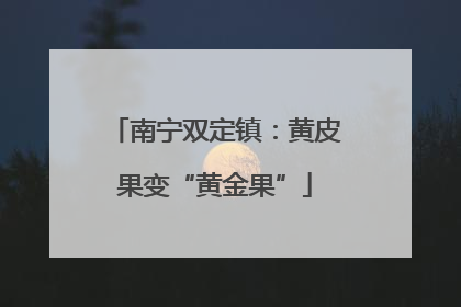 南宁双定镇：黄皮果变“黄金果”