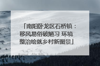 南阳卧龙区石桥镇：移风易俗破陋习 环境整治绘就乡村新图景