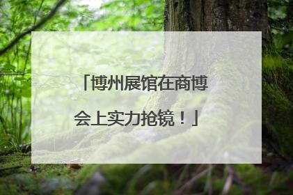 博州展馆在商博会上实力抢镜！
