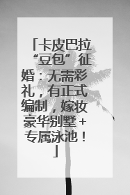 卡皮巴拉“豆包”征婚：无需彩礼，有正式编制，嫁妆豪华别墅＋专属泳池！