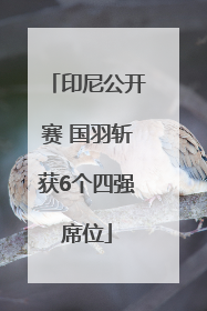 印尼公开赛 国羽斩获6个四强席位