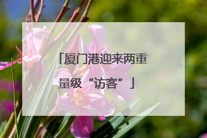 厦门港迎来两重量级“访客”