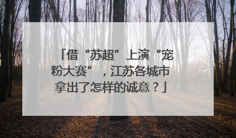 借“苏超”上演“宠粉大赛”，江苏各城市拿出了怎样的诚意？