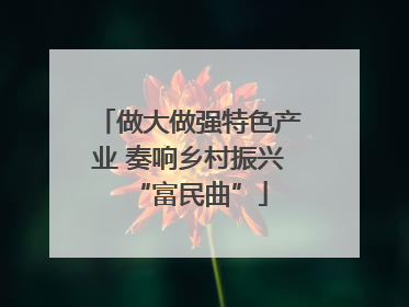 做大做强特色产业 奏响乡村振兴“富民曲”
