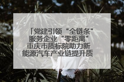 党建引领“全链条” 服务企业“零距离” 重庆市质标院助力新能源汽车产业链提升质量管理水平