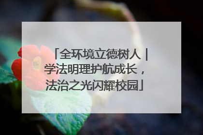 全环境立德树人｜学法明理护航成长，法治之光闪耀校园