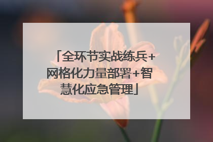 全环节实战练兵+网格化力量部署+智慧化应急管理